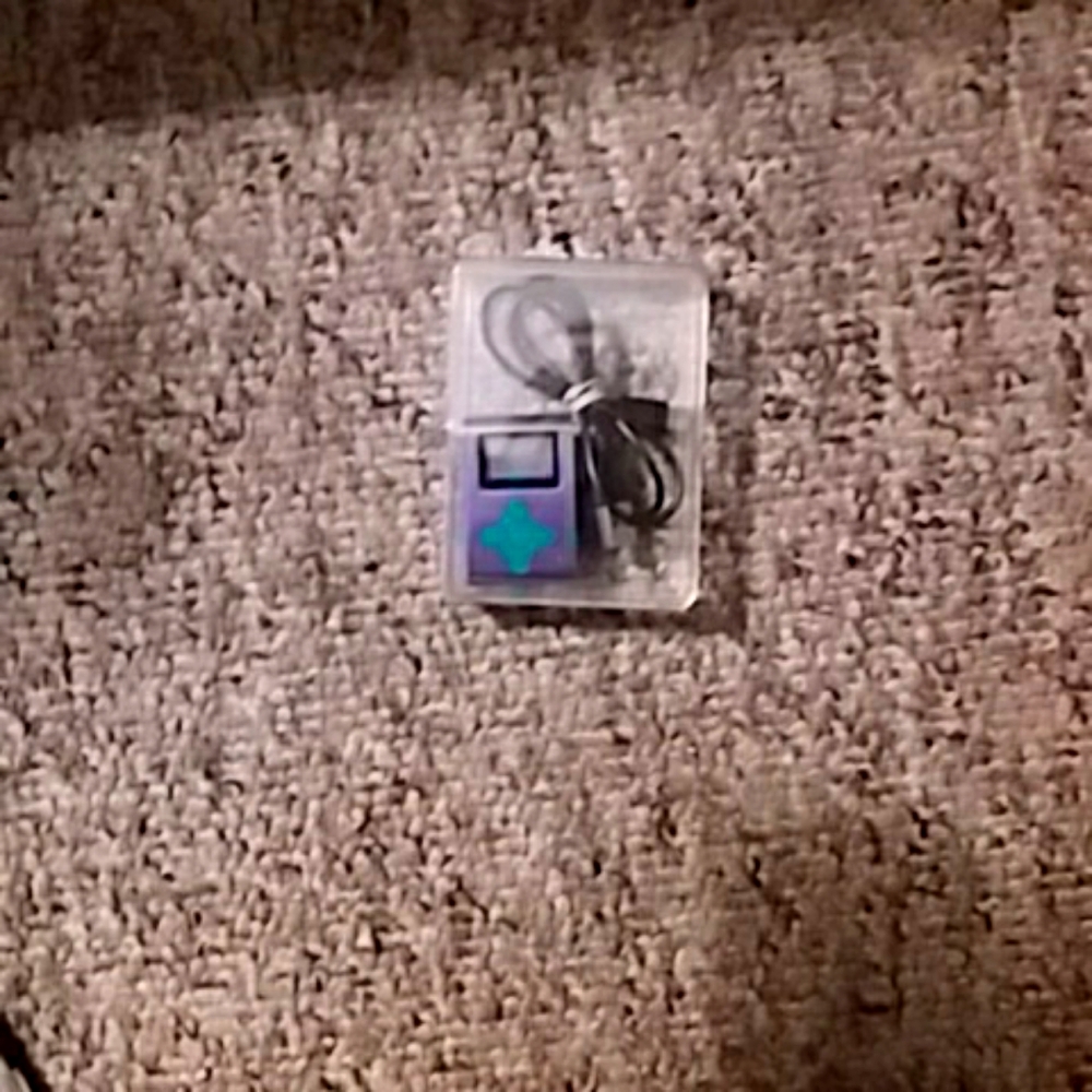 Knock-off ipod